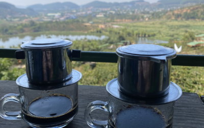 Weasel Poop Coffee in Da Lat: Me Linh Coffee Garden