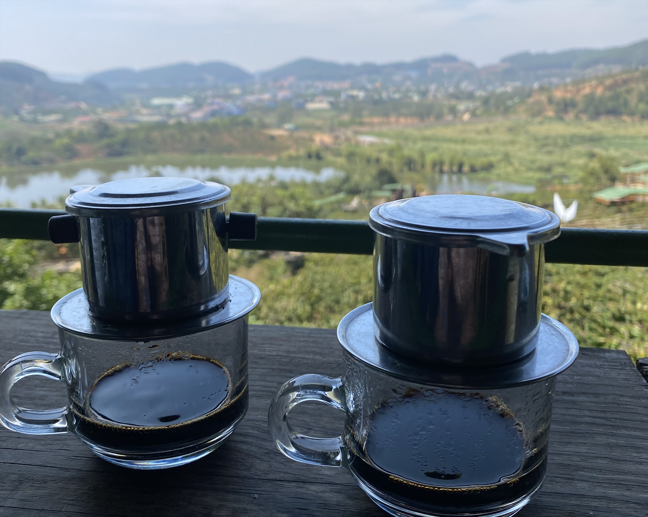 Weasel Poop Coffee in Da Lat: Me Linh Coffee Garden