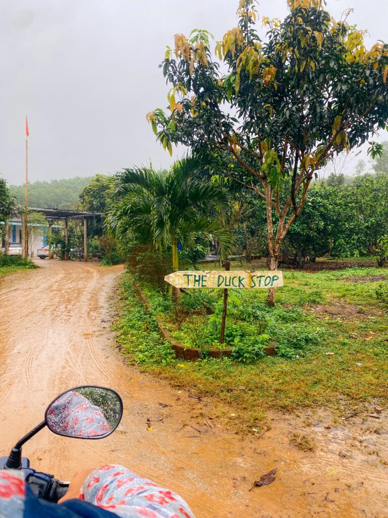 The Duck Stop Sign