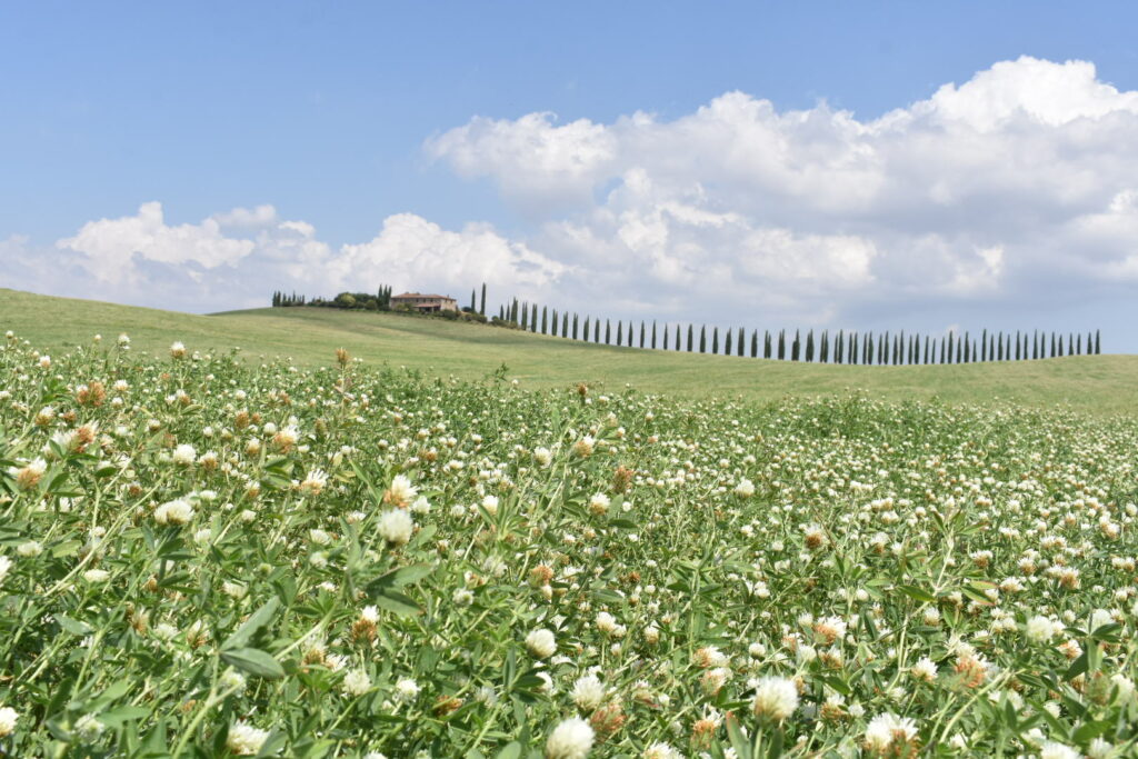 Tuscany, Italy