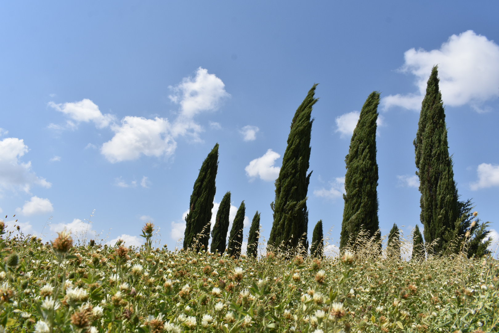 Tuscany, Italy