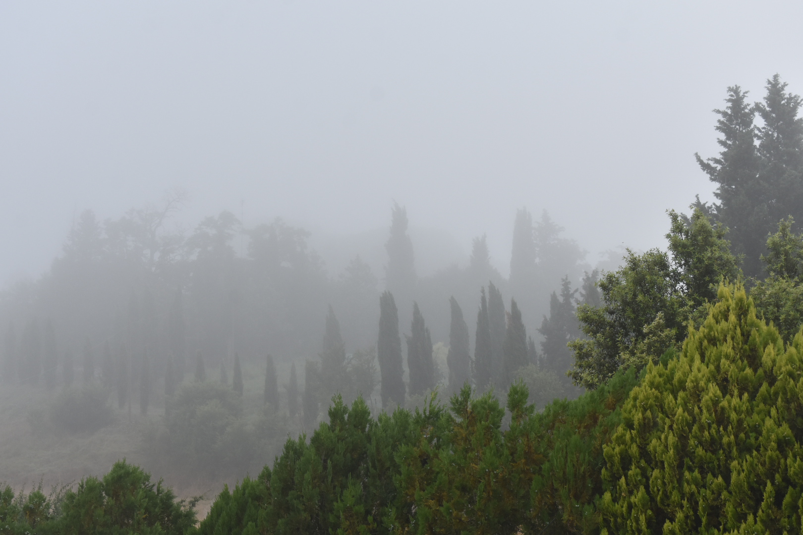 Tuscany, Italy