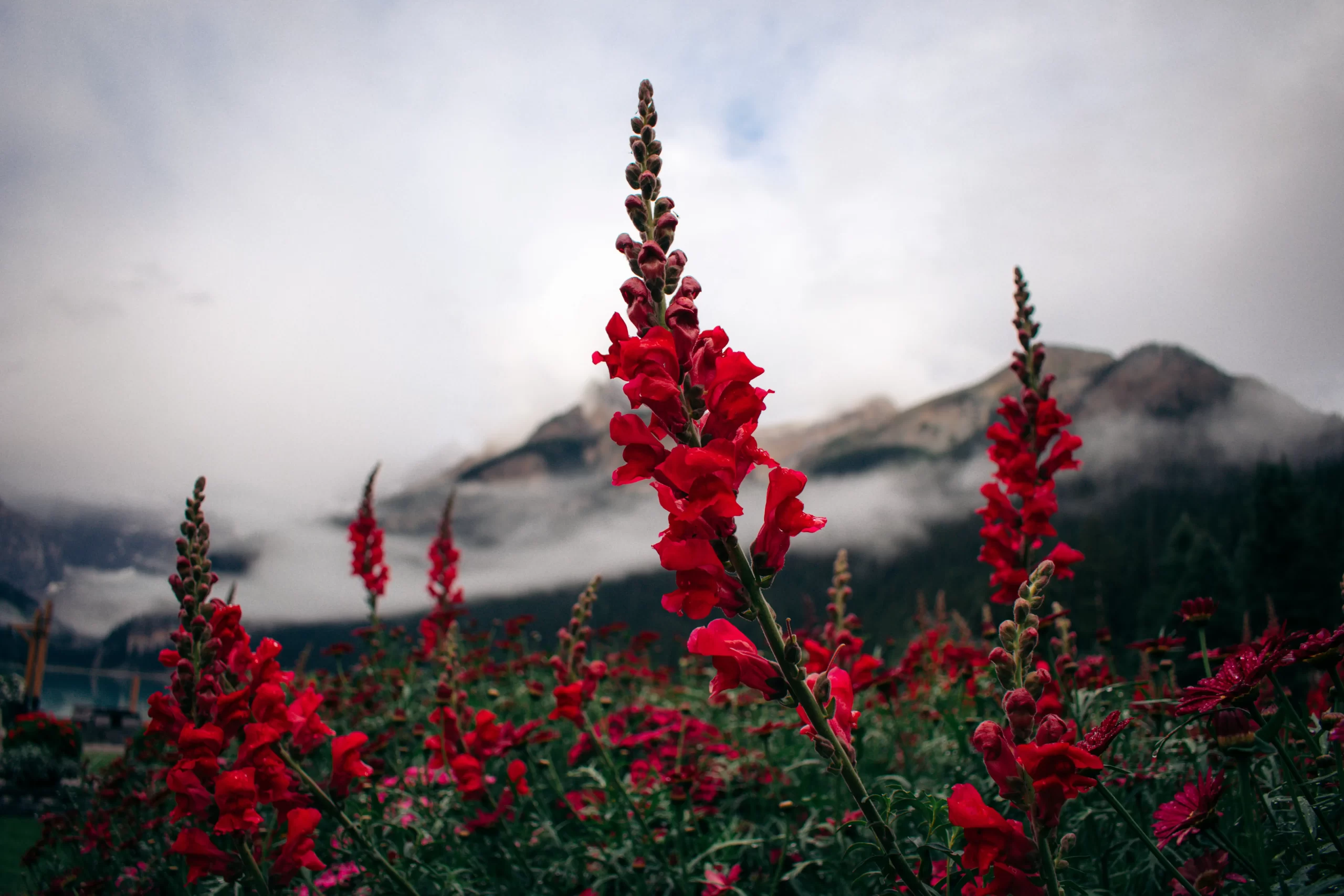 Banff, Canada